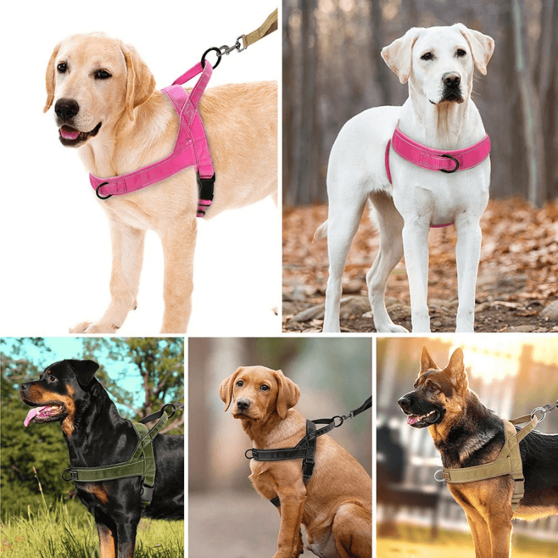 Softails™ No-Pull Dog Harness