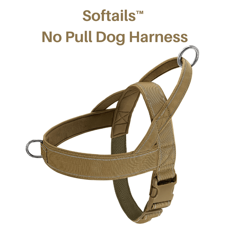 Softails™ No-Pull Dog Harness