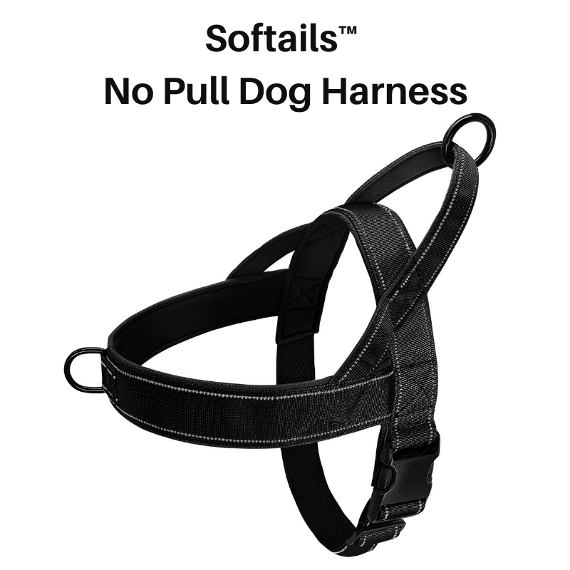 Softails™ No-Pull Dog Harness