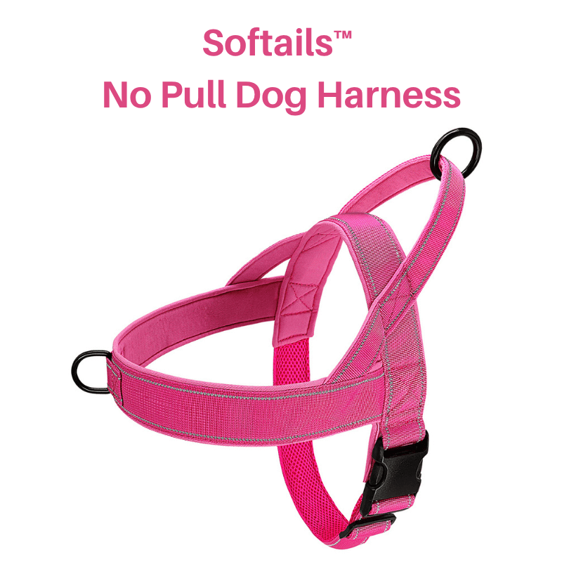 Softails™ No-Pull Dog Harness