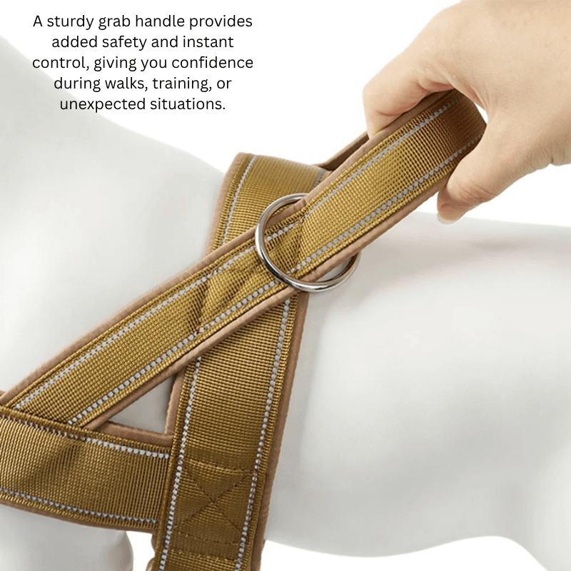 Softails™ No-Pull Dog Harness