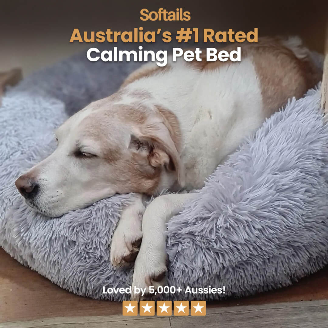 Softails™ Premium Calming Pet Bed