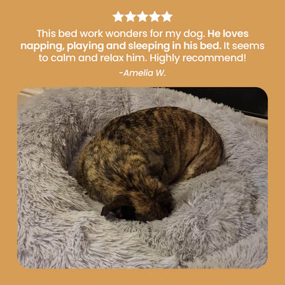 Softails™ Premium Calming Pet Bed