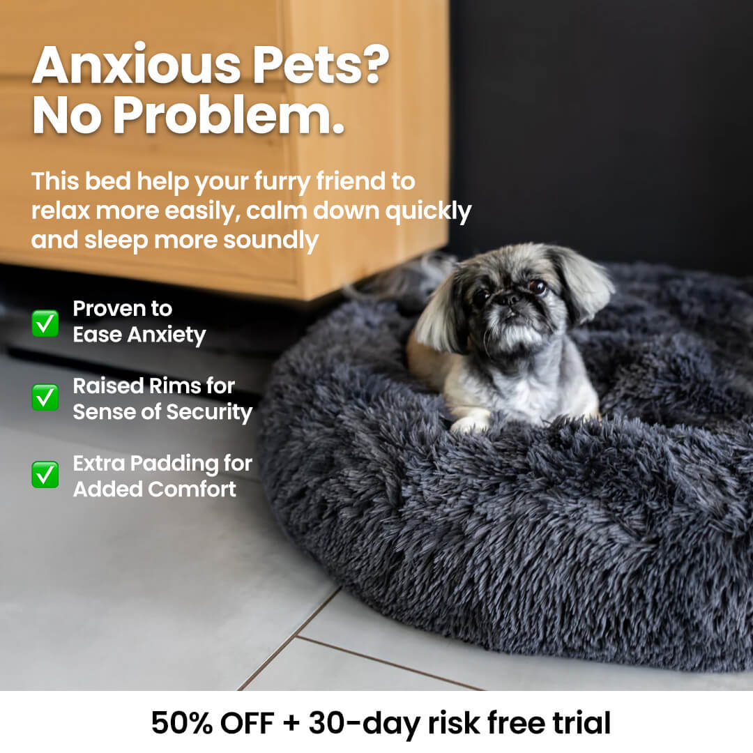 Softails™ Premium Calming Pet Bed