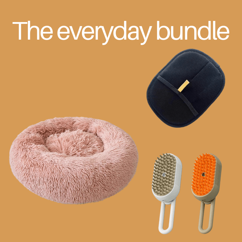 Softails™ Everyday Bundle
